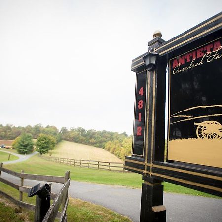Antietam Overlook Farm Rohrersville 外观 照片