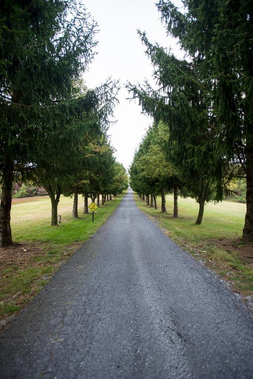 Antietam Overlook Farm Rohrersville 外观 照片
